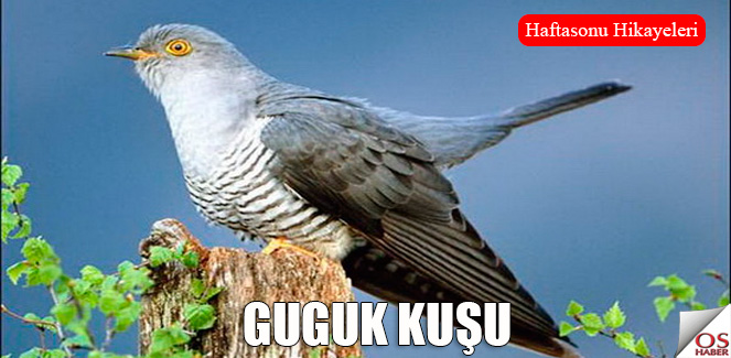 gugukkusu