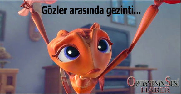 karincagozluk