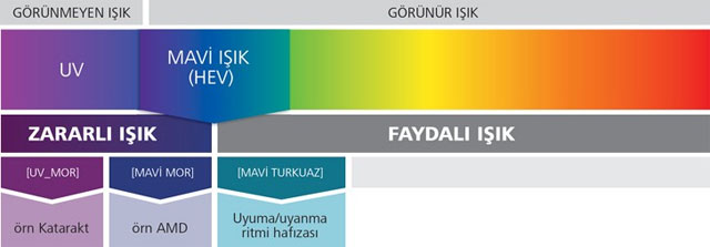 maviisik