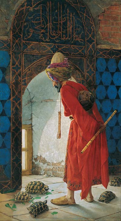 kablumagaterbiyecisi