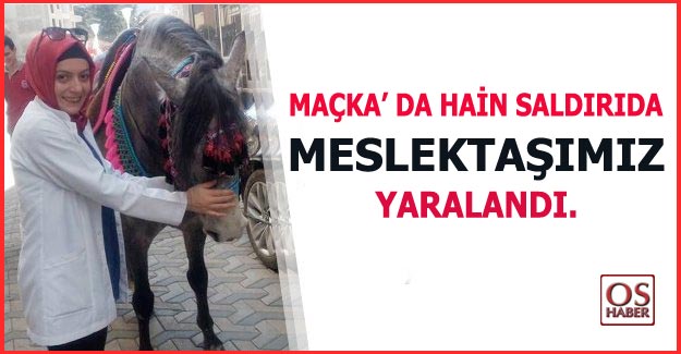 macka