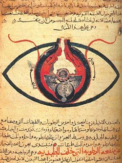 gafiki1