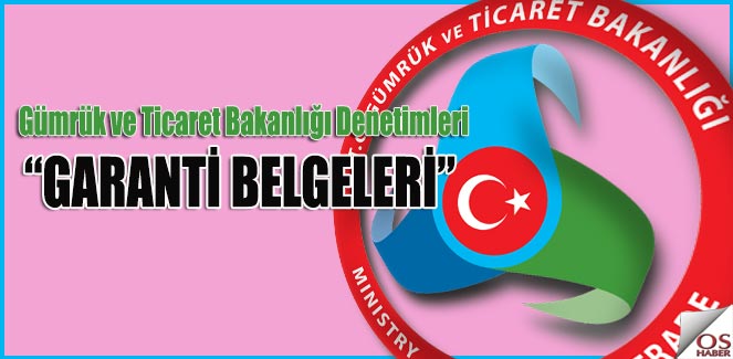 gumrukticgarantidenetim