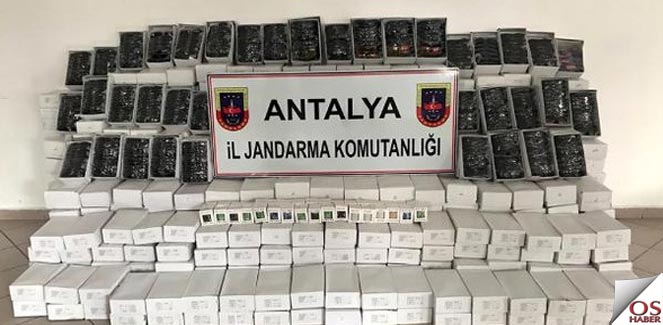 kacakgozluk