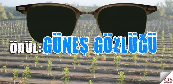 odulgunes