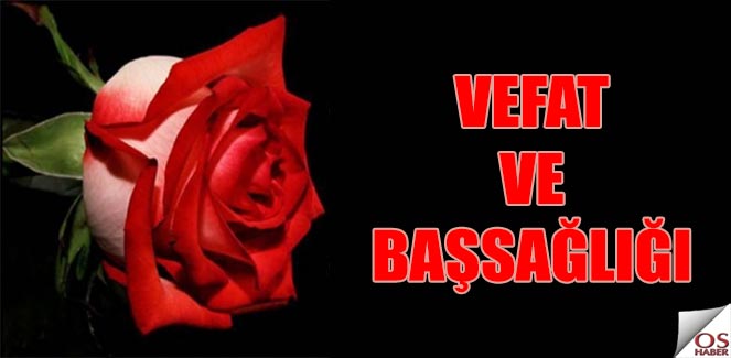 vefetbas