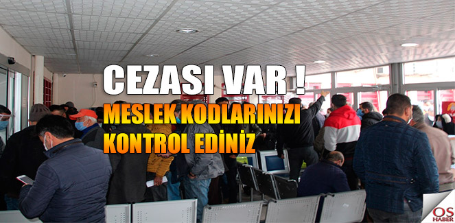 meslekkodlariceza