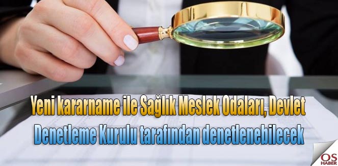 denetim