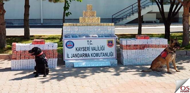 kayserijandarma