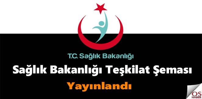 teskilatsemasi