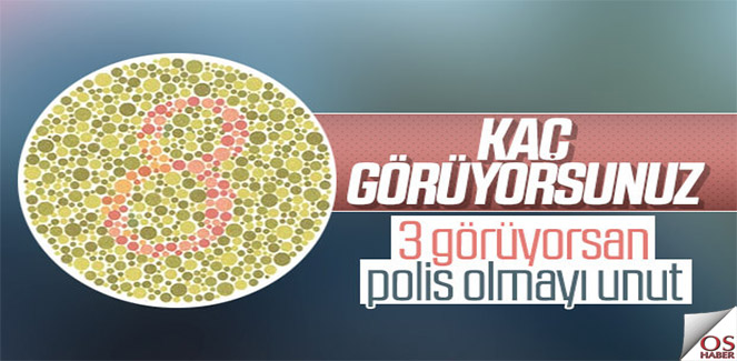 renkkorlugu