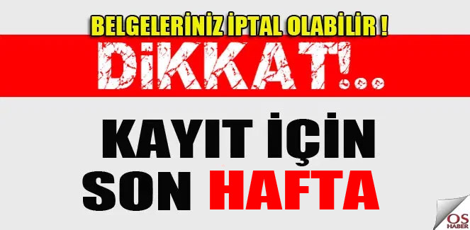 sonhafta