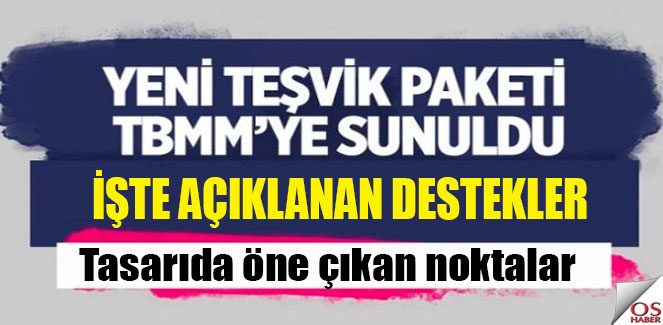tesvikpaketi