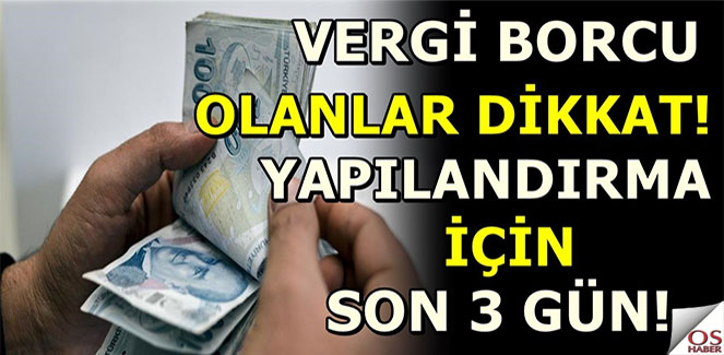 vergiborcu