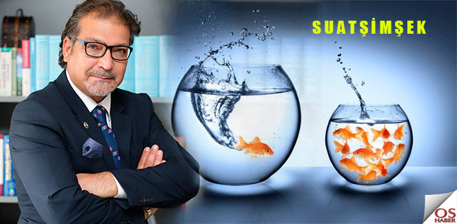 suatsimseknitelik