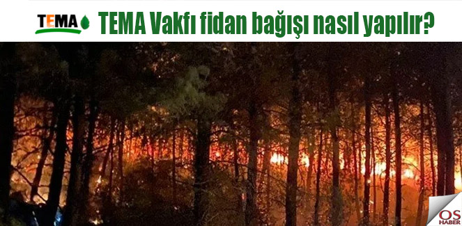 temafidan