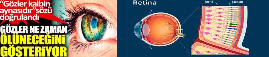 Gözler ne zaman ölüneceğini gösteriyor