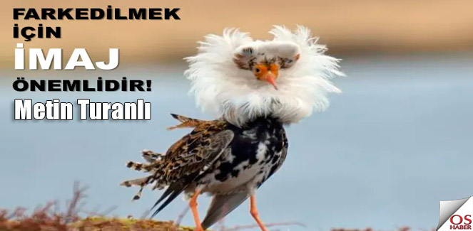 imaj