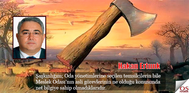 hakanertunkbaltasapi