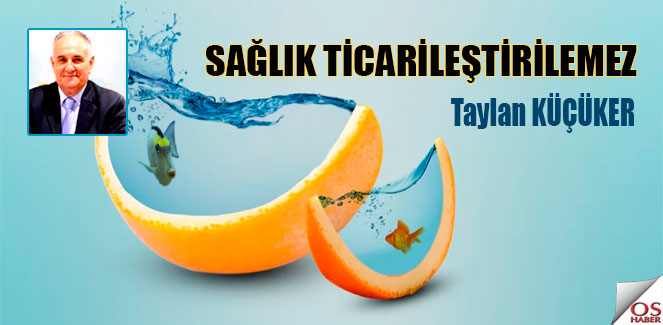 portakal