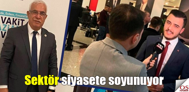 sektorsiyaset