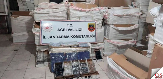 agrikacak