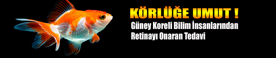 Körlüğe Umut!
