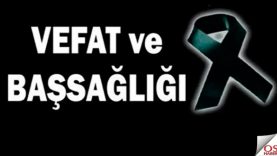 yenivefat2
