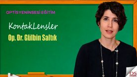 gulbinsaltik