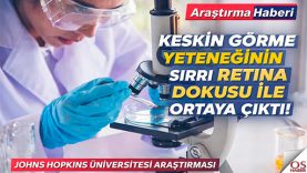 laborutuar