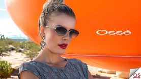osse2026
