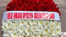 ankaraodacicek