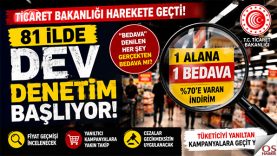 denetim