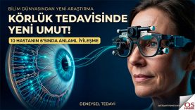 korluk