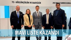 maviliste